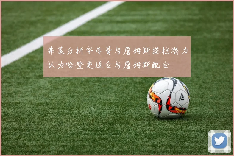 弗莱分析字母哥与詹姆斯搭档潜力认为哈登更适合与詹姆斯配合