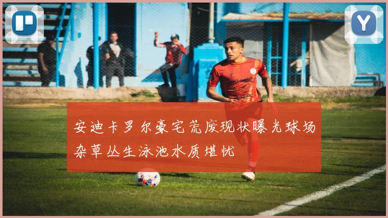 安迪卡罗尔豪宅荒废现状曝光球场杂草丛生泳池水质堪忧